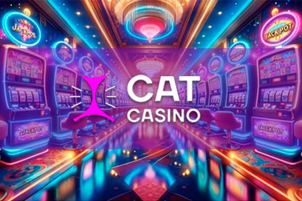 В Cat Casino стартовал новый турнир